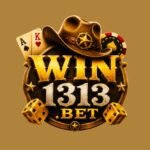 Win1313 Download